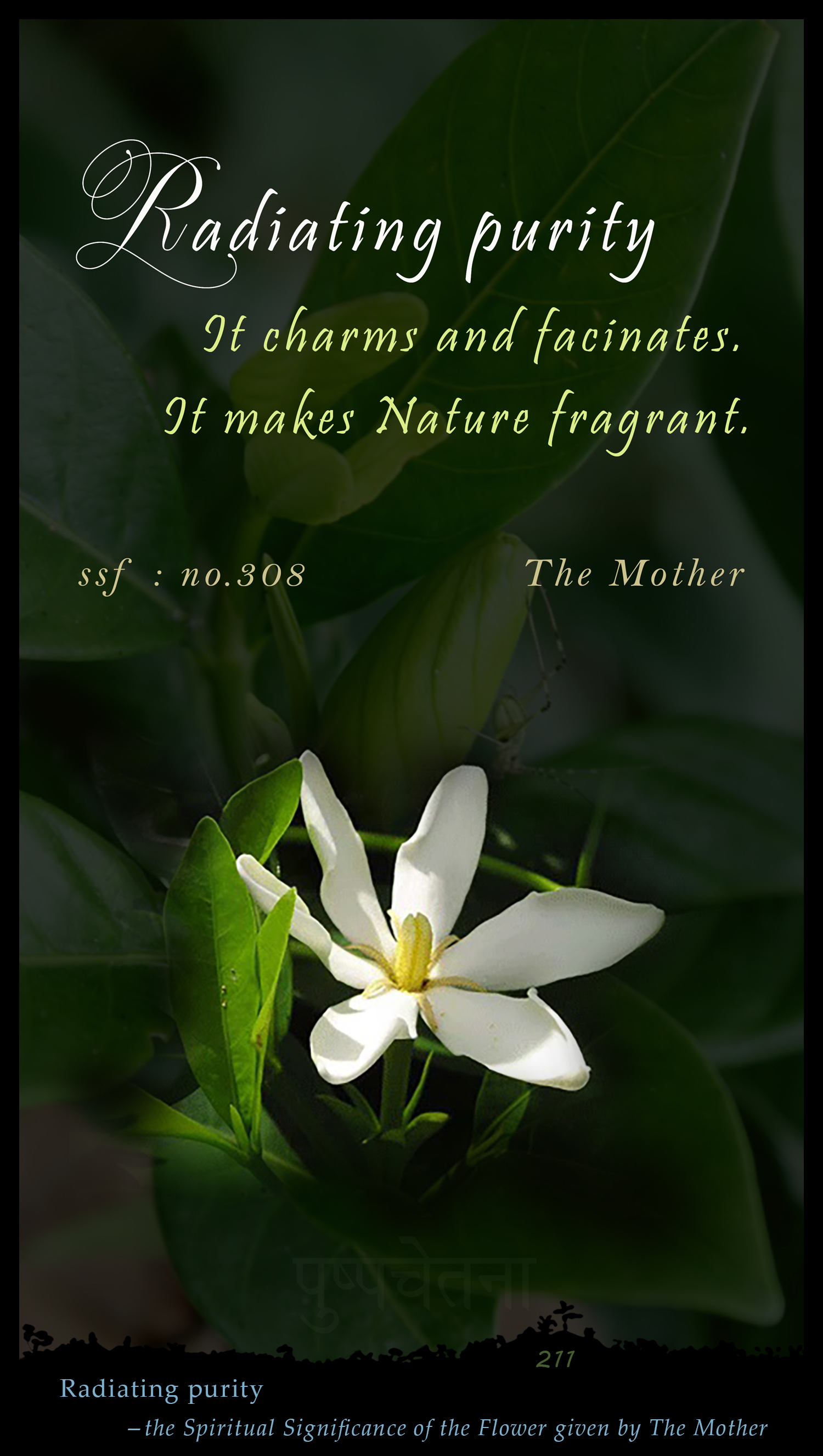 Radiating Purity